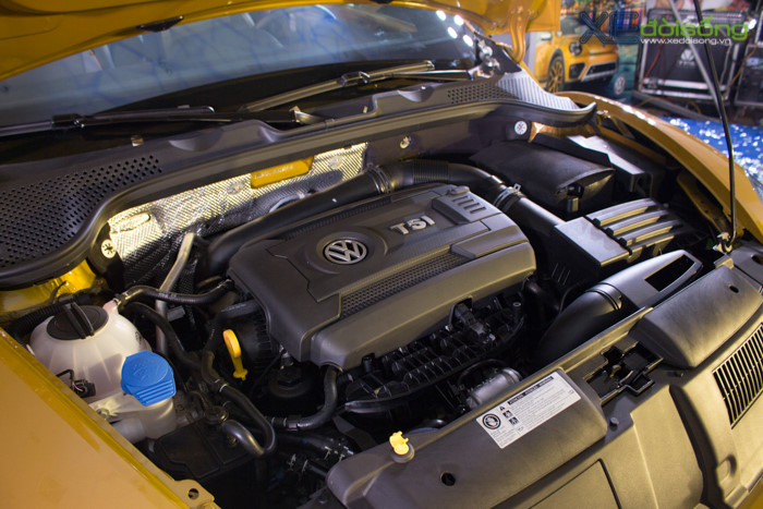 volkswagen-vua-ra-mat-beetle-va-passat-tai-viet-nam-voi-gia-hon-14-ty-dong