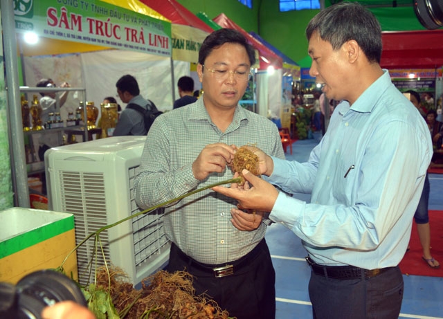 nguoi-dan-thu-hon-45-ty-dong-tu-mot-phien-cho-sam-ngoc-linh