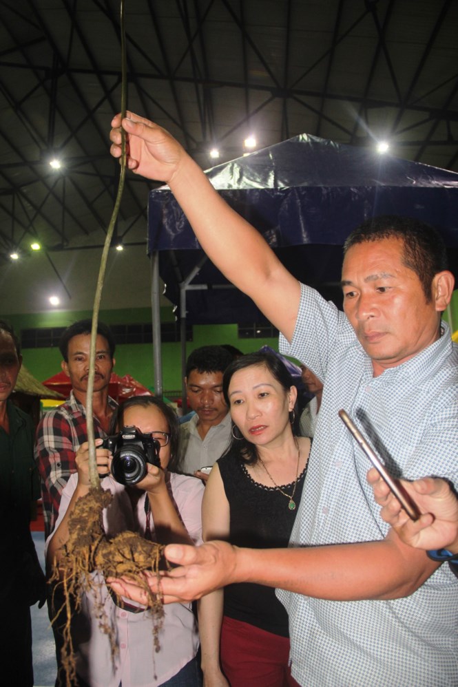 nguoi-dan-thu-hon-45-ty-dong-tu-mot-phien-cho-sam-ngoc-linh