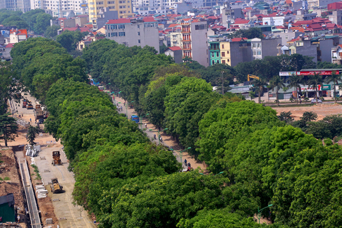 ngay-1810-ha-noi-bat-dau-chat-ha-di-doi-gan-1300-cay-xanh-o-duong-pham-van-dong