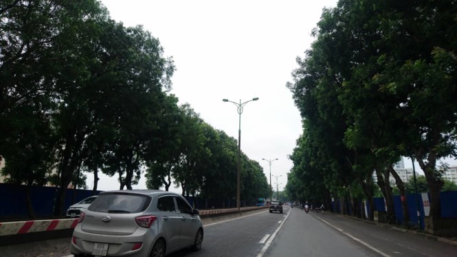 ngay-1810-ha-noi-bat-dau-chat-ha-di-doi-gan-1300-cay-xanh-o-duong-pham-van-dong