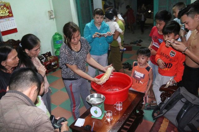 xon-xao-loat-ca-tre-dot-bien-gen-mau-vang-hong-quy-hiem-o-viet-nam