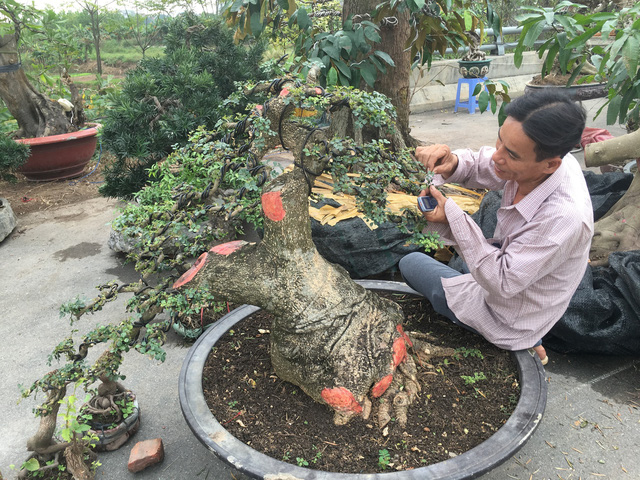 dai-gia-cat-cong-san-can-thang-tiec-hui-hui-vi-vuot-mat-cay-quy-220-trieu