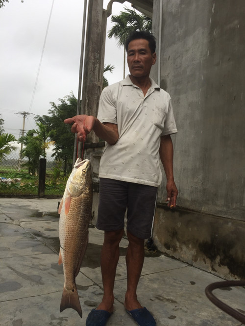 chuan-bi-ca-5kg-lam-moi-nhau-bat-ngo-nghi-la-su-vang-dat-nhu-vang chuan-bi-ca-5kg-lam-moi-nhau-bat-ngo-nghi-la-su-vang-dat-nhu-vang