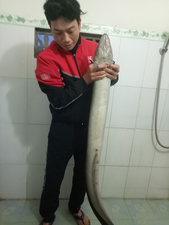 ca-lech-khung-mac-luoi-ngu-dan-nghe-an-ngay-dau-nam-2018