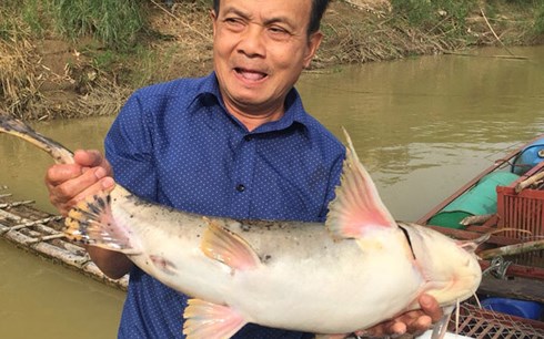 ha-giang-dua-ca-chien-quy-hiem-vao-long-nuoi-nhot