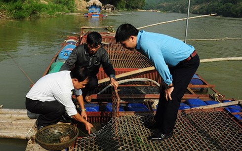 ha-giang-dua-ca-chien-quy-hiem-vao-long-nuoi-nhot