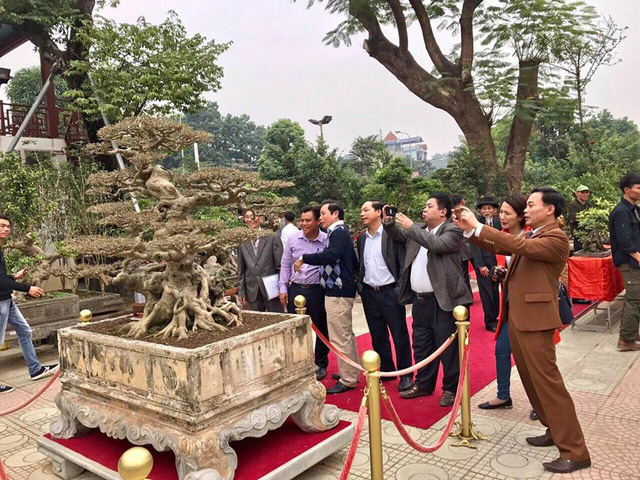 https://vietnamnet.vn/vn/kinh-doanh/thi-truong/xon-xao-thuong-vu-mua-ban-sieu-cay-8-ty-doc-nhat-viet-nam-423291.html