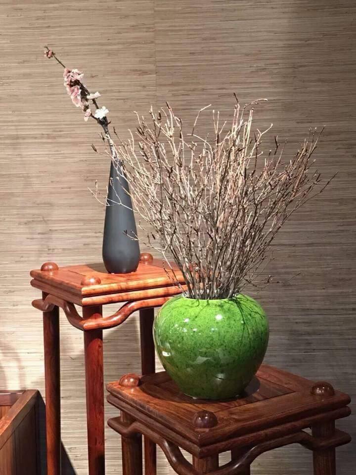 ba-noi-tro-ha-thanh-phat-sot-voi-hoa-do-quyen-ngu-dong