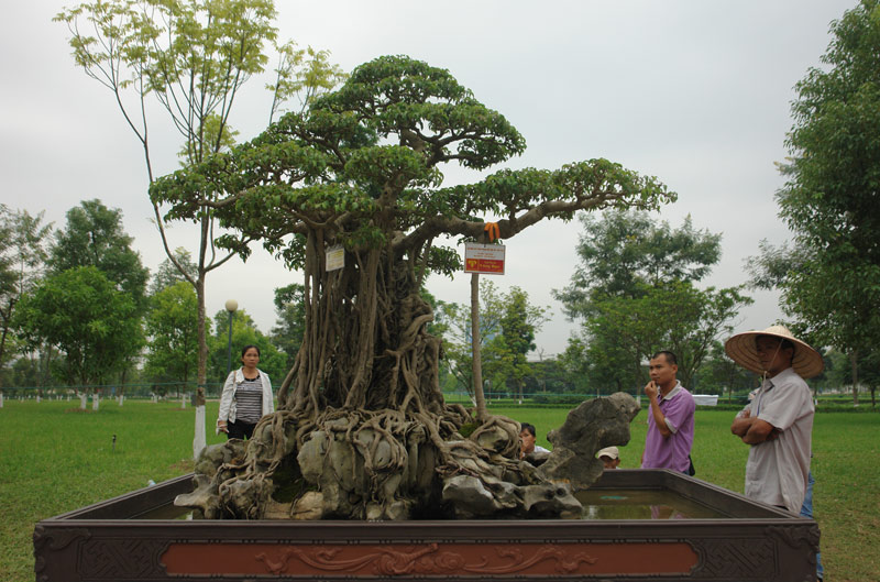 https://vietnamnet.vn/vn/kinh-doanh/thi-truong/xon-xao-thuong-vu-mua-ban-sieu-cay-8-ty-doc-nhat-viet-nam-423291.html