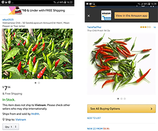 sung-sot-voi-ot-viet-duoc-rao-ban-tren-amazon-670000-dongkg