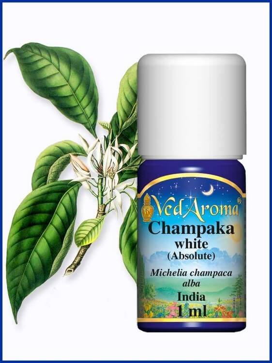 chai-tinh-dau-nay-co-gia-512-trieu-ngang-bang-chiec-xe-tay-ga-dat-tien