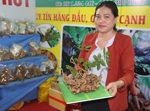 phien-cho-sam-ngoc-linh-lan-thu-6-ban-nua-ta-sam-thu-ve-gan-45-ty-dong