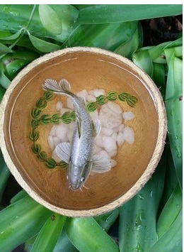 tranh-ca-3d-gia-trieu-dongbuc-hut-khach