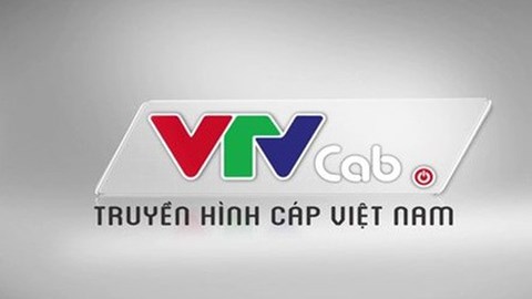 day-la-ly-do-vtvcab-bi-huy-ban-dau-gia-co-phan-vao-174