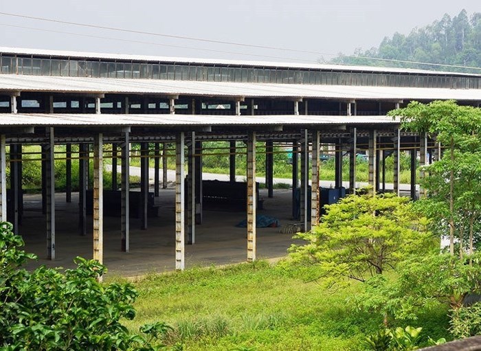 thanh-hoa-thu-hoi-hon-25ha-dat-cua-dai-du-an-nha-may-o-to-vinaxuki