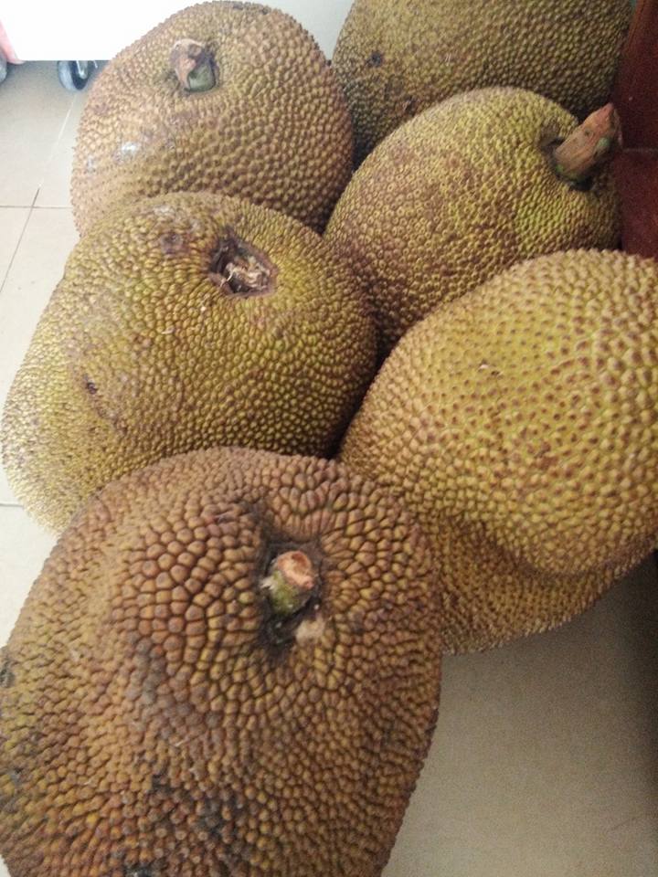 nhung-san-vat-mua-he-ngon-bo-re-ban-nen-thuong-thuc-ngay-hoac-mua-de-tu-lanh-an-dan