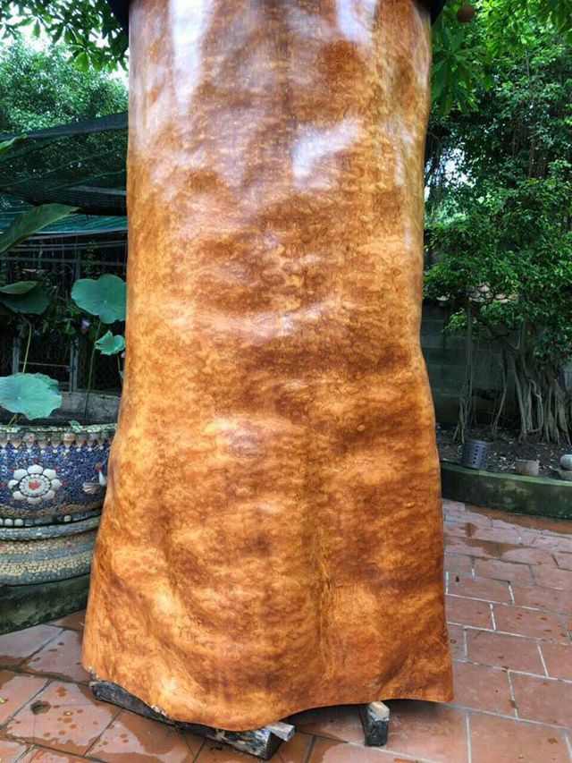 kinh-ngac-khuc-go-nu-go-do-sieu-hiem-dai-3-met-dai-gia-hai-phong-tra-gia-gan-4-ty-dong