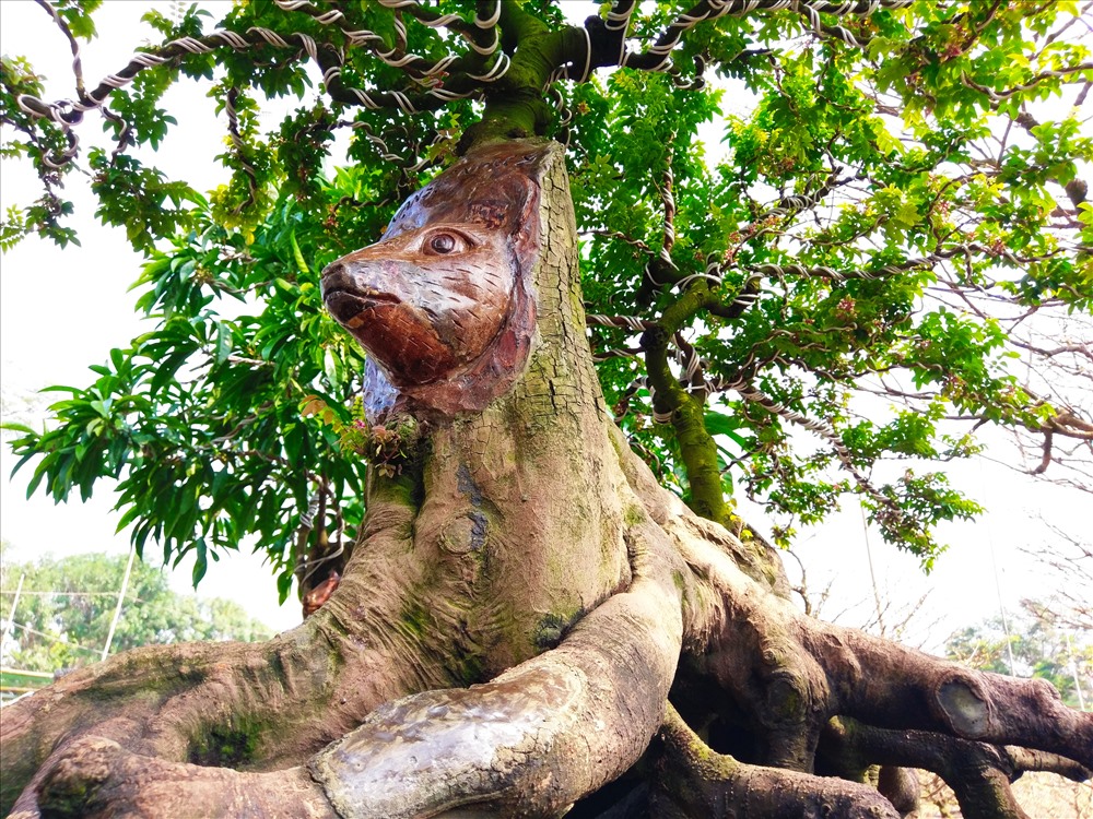 tphcm-doc-la-voi-cay-khe-co-thu-dau-chuot-co-gia-nua-ty-dong-tai-cho-hoa-xuan