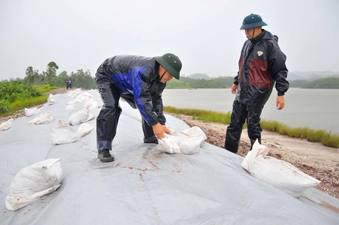 Lực lượng biên phòng của thị trấn Cái Rồng đã phủ bạt, kè bao cát tại đê chống ngập mặn thuộc xã Đoàn Kết. Tàu bè cũng được neo chặt tại bến.