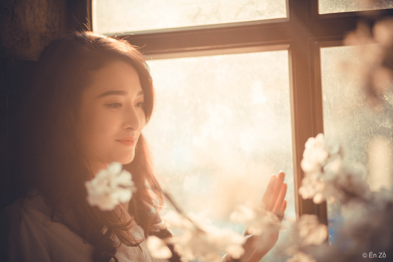 Kỹ thuật chụp ảnh ngược s&aacute;ng trở n&ecirc;n dễ d&agrave;ng hơn với những b&iacute; quyết cơ bản