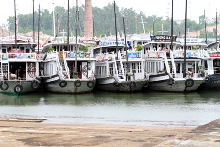 Tàu du lịch hoạt động trên vịnh Hạ Long đã về nơi tránh trú bão.