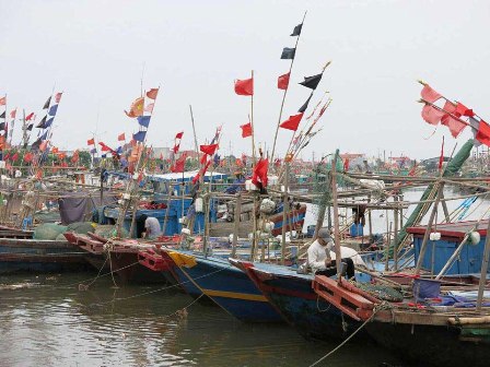 Ngư dân Hải Phòng đang đưa tàu thuyền về nơi neo đậu an toàn trước khi bão đổ bộ.