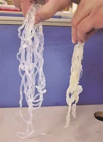 Có thể phát hiện ra sứa giả nhờ đặc điểm nổi bật nhất của nó là có màu trong suốt, không vị và rất dai. Ảnh: khoa học TV