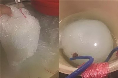 Ngay cả sau khi cho vào nước, độ dai của thứ hàng gia công này càng tăng. Ảnh: Kiến thức