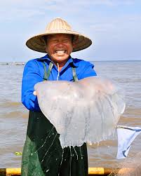 Ngược lại với sứa giả, sứa thật có màu trắng hoặc vàng nhạt, đồng thời có mùi của nước biển. Ảnh: Soha