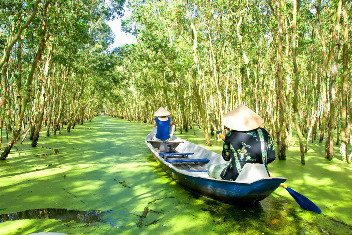 Tỉnh An Giang có diện tích rừng dự trữ là 9 km2 và là 'nhà' của hơn 80 loài chim bản địa bao gồm diệc, cò và én. Ngoài ra rừng tràm Trà Sư có thể được sử dụng cho mục đích du lịch ở thành phố Châu Đốc (An Giang). Tỉnh An Giang có diện tích rừng dự trữ là 9 km2 và là 'nhà' của hơn 80 loài chim bản địa bao gồm diệc, cò và én. Ngoài ra rừng tràm Trà Sư có thể được sử dụng cho mục đích du lịch ở thành phố Châu Đốc (An Giang).
