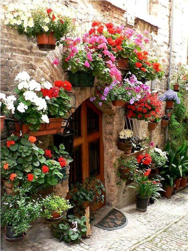 Ngỡ ng&agrave;ng trước thị trấn ngập sắc hoa đẹp như tranh vẽ ở Italia