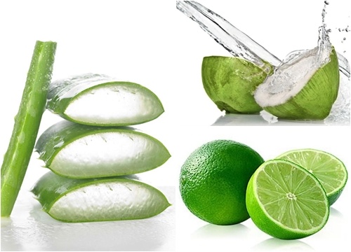 1 cốc nước dừa, 1 cốc nước lọc,  1 quả chanh cắt lát, 3 thìa nha đam (nha đam bỏ vỏ lấy thịt, cắt hạt lựu, ngâm nước muối và rửa sạch)