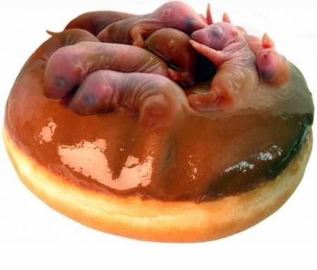 Chuột bao tử: Những con chuột được lôi ra từ bụng chuột mẹ rồi thả vào nồi nước đã nêm sẵn gia vị. Sau đó, thực khách ung dung thưởng thức. Món ăn này được ưa chuộng bởi tin đồn có khả năng cải thiện phong độ ''giường chiếu''.