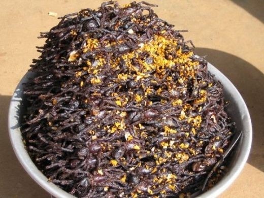 Nhện chiên (Campuchia): Có từ những năm 1960, khi Khmer Đỏ tàn phá Campuchia làm cho 13Win1 nhập link nhà cái khan hiếm. Người Camuchia đã sáng tạo ra món ăn ghê rợn này. Ngày nay, nhện chiên là món ăn khá phổ biến trên đường phố Campuchia. Công thức của món này là nhện được trộn hỗn hợp đường, muối, bột ngọt, sau đó cho vào chiên giòn với tỏi.