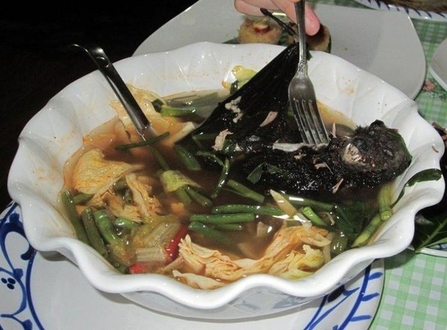 Súp dơi nấu với hoa quả (Palau): Ở Palau, Micronesia súp dơi được coi là một món ăn ngon. Chúng được nấu cùng với rau, nước dừa, một chút gia vị cay và gừng. Chúng ta có thể ăn hết tất cả các bộ phận của con dơi, trừ phần xương. Và nên nhớ rằng, dù bạn có chế biến kĩ đến đâu thì khả năng chất độc trong bụng dơi vẫn còn, bạn có thể sẽ phải đi gặp bác sĩ vì trót ăn phải chất độc đó đấy.