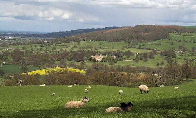 Đồi Cotswolds: Đây là một dãy đồi trập trùng hùng vĩ ở miền Nam nước Anh với độ cao lên tới 330 mét. Vùng Cotswolds nổi tiếng với những ngôi làng đá, các thị trấn gắn liền với những giai đoạn lịch sử của vùng cùng những kiến trúc vườn nổi tiếng. 