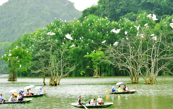 Vườn chim Thung Nham: Đây là một trong những địa điểm thăm quan nên đến khi du lịch Ninh Bình. Bởi nó hội tụ đầy đủ các yếu tố du lịch sinh thái, tâm linh, văn hóa và cảnh quan. Đặc biệt, vườn chim Thung Nham còn là nơi cư trú và sinh sống của 40 loại chim như cò, vạc, diệp, le le, mòng két, chích chòe lửa, sáo đá…Trong đó, không thể không kể đến hai loài chim quý hiếm được ghi trong sách đỏ là Hằng Hạc và Phượng Hoàng.  Vườn chim Thung Nham đẹp nhất khi hoàng hôn buông xuống, bởi lúc này bạn sẽ được chiêm ngưỡng một cảnh tượng rất hiếm gặp đó là từng đàn từng đàn cò trắng sải rộng cánh bay về tổ của chúng trong khu Đầm.