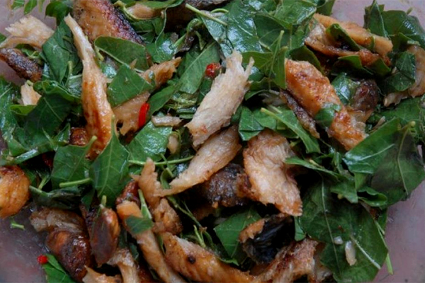 Gỏi sầu đâu: Cây sầu đâu còn gọi là cây xoan ăn gỏi, một loài cây mọc hoang, nhiều nhất ở Châu Đốc và vùng Bảy Núi – An Giang. Lá sầu đâu nhỏ, dài và mỏng. Lúc còn non, đọt có màu tim tím. Lá sầu đâu được chế biến thành nhiều món ăn, phổ biến nhất là sầu đâu chấm cá kho, thịt kho hoặc ăn kèm với mắm thái, mắm chưng, từng được coi là món ngon hiếm có trên đời. Chính vị mặn nồng của mắm hòa hợp với vị đăng đắng, hậu ngọt của lá sầu đâu sẽ làm cho vị giác lâng lâng khó tả, càng ăn càng cảm thấy khoái khẩu. Nhưng thực đơn nổi tiếng nhất ở An Giang xưa nay vẫn là món gỏi sầu đâu. Từ gỏi tôm, gỏi thịt, gỏi cá cho đến gỏi khô, thứ nào cũng tuyệt hảo.