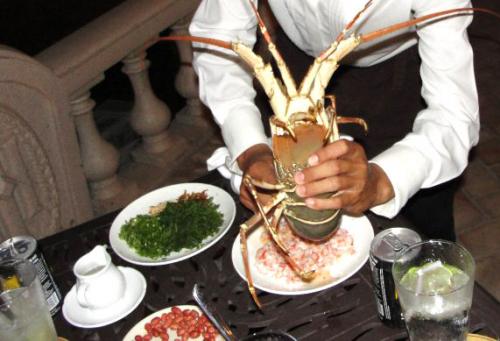 Tiết canh tôm hùm: Có tất cả bảy loại tôm hùm, nhưng tôm hùm dùng làm tiết canh ngon nhất phải là loại tôm rồng. So với các loại tôm hùm khác, lưng tôm rồng có sọc đen, đốt chân màu xanh lục, đầu tôm lấp lánh sắc cầu vồng… Tiết canh tôm tuy rất ít nhưng ăn là lạ, phần thịt tôm mềm lẫn với tiết tôm sừng sựt như rau câu, mằn mặn, ngòn ngọt. Tiết canh tôm cũng được ăn chung với bánh tráng và dùng làm mồi uống rượu như các loại tiết canh khác, nhưng phần rau thì ngoài ngò gai, không thể thiếu rau diếp cá và có thể ăn chung với khế chua, chuối chát.