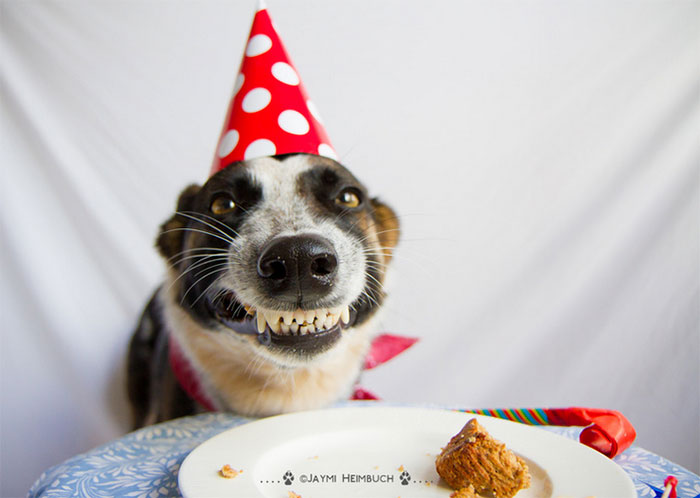 Cười tươi để chụp ảnh nào!
