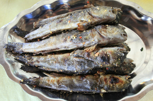Cá thòi lòi là loại cá đặc trưng của vùng ngập mặn, người dân còn gọi là cá leo cây. Loài cá này hình dáng kì dị nhưng thịt ngọt thơm, mềm mại. Thịt cá thòi lòi không mỡ nên khi nướng cá thường được phết thêm bên ngoài chút mỡ nước để nướng cho khỏi cháy. Nướng cá trên lửa than hồng, cá chín mùi rất thơm. Có thể ăn trong khu du lịch sinh thái Đất Mũi với giá 150.000 một kg khoảng 7 con.