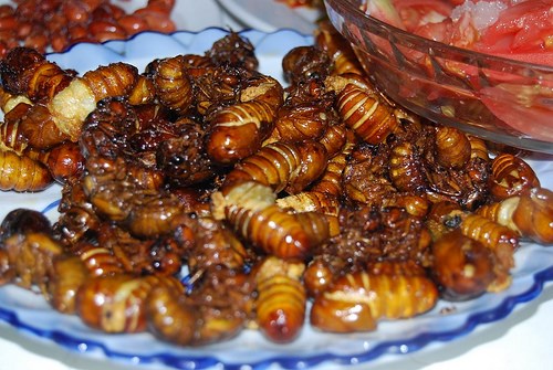 Ve sầu sữa chiên giòn được người Bình Phước coi là món ngon Bình Phước đặc biệt. Người dân ở đây sau khi bắt ve, người ta bỏ ve vào túi ni-lông rồi bịt kín lại và mang đi chiên giòn.