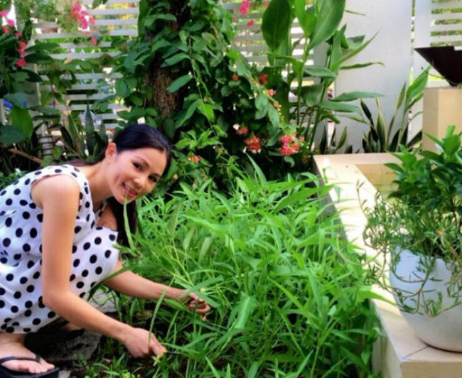 Bà xã Dạ Thảo cũng là người chăm chỉ trồng rau, hoa đem tới 13Win OKVIP Cá cược bóng đá ngon sạch, khoảng không thư giãn thoải mái cho Đăng ký và nhận 60K 24 bao lì xì miễn phí mỗi ngày.