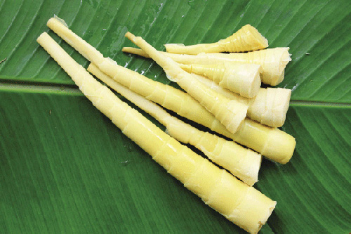 Măng le - đặc sản Đắc Lắk - ngon không kém măng tre là mấy vì đặc ruột, vị ngọt, bùi và không đắng chát. Măng le tươi cũng như khô đều khá được lòng khách phương xa, nhất là khi họ từng có dịp thử món măng le thịt nai khô chấm muối lá bép ớt. Cái câu “Ai về nhắn với cội nguồn, Măng le gửi xuống cá chuồn gửi lên'' đủ cho thấy măng le gần gũi với người dân chốn này đến thế nào. Vì vậy, đã qua Tây Nguyên, không nên bỏ qua việc thưởng thức món ăn này, hay chí ít cũng “dấm dúi” ít măng khô về làm quà. Măng le - đặc sản Đắc Lắk - ngon không kém măng tre là mấy vì đặc ruột, vị ngọt, bùi và không đắng chát. Măng le tươi cũng như khô đều khá được lòng khách phương xa, nhất là khi họ từng có dịp thử món măng le thịt nai khô chấm muối lá bép ớt. Cái câu “Ai về nhắn với cội nguồn, Măng le gửi xuống cá chuồn gửi lên'' đủ cho thấy măng le gần gũi với người dân chốn này đến thế nào. Vì vậy, đã qua Tây Nguyên, không nên bỏ qua việc thưởng thức món ăn này, hay chí ít cũng “dấm dúi” ít măng khô về làm quà.