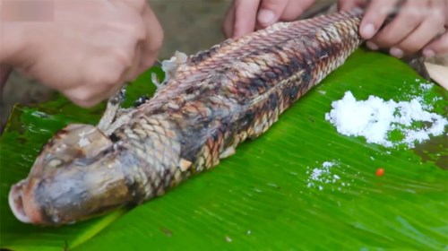 Gọi là cá trầm hương bởi loài cá này thường ăn rễ, lá mục của cây trầm hương mọc ven sông Quây Sơn và Bắc Vọng. Chính vì vậy thịt chúng ngon hơn nhiều loại cá nào khác, khi ăn có thể cảm nhận được vị trầm.  Món ngon nhất từ loài cá trầm hương là nướng, vì giữ nguyên được mùi vị của cá, khiến người sành ăn cũng phải trầm trồ. Cá bắt từ sông, làm sạch, mổ bụng rồi nhét thêm một vài loại rau, gia vị như hành, thì là, ớt... vào bên trong, bọc qua bằng lớp lá chuối rồi cho lên bếp than nướng.