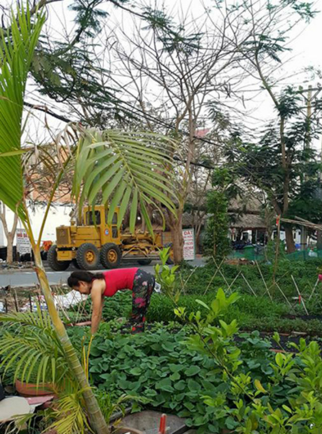 Bà Ngọc Hương tự trộn đất, trồng cây, tưới nước cho các loại rau trồng trên sân thượng, khoảng đất trồng gần nhà.