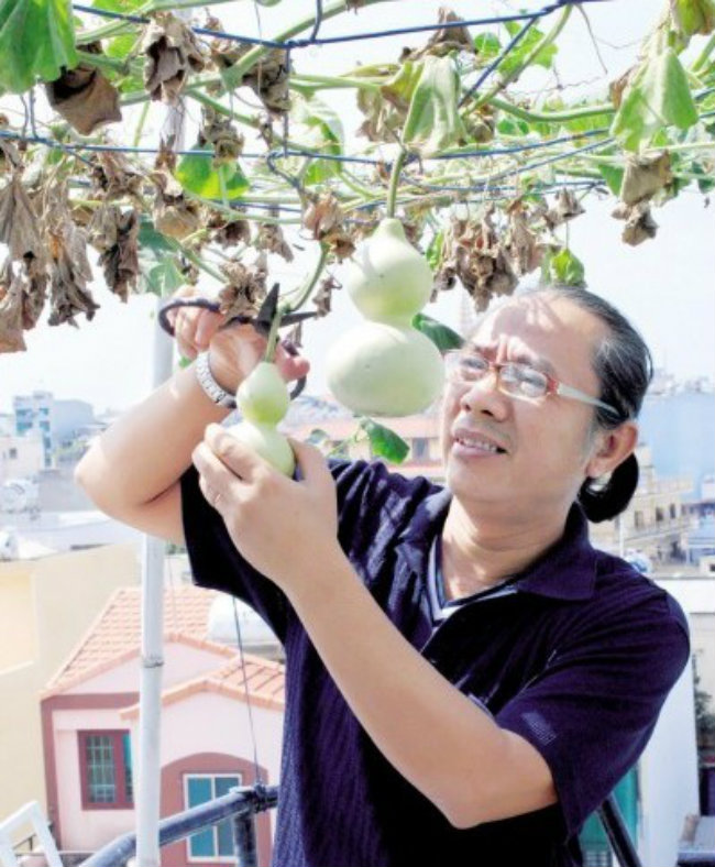 Sống ở trung tâm thành phố nhưng nghệ sĩ Trung Dân vẫn thiết kế được một vườn rau trên sân thượng. Anh trồng bầu, mướp, mướp đắng, hoa và một số loại cây ăn trái… Khu vườn này cung cấp nguồn rau, quả sạch cho cả Đăng ký và nhận 60K 24 bao lì xì miễn phí mỗi ngày Trung Dân. Đợt nào thu hoạch nhiều, anh còn mang tặng nhà hàng xóm ăn lấy thảo.