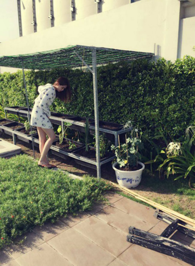 “Nữ hoàng nội y” mới đặt thêm một số khay trồng rau muống, rau gia vị... ở sân vườn.