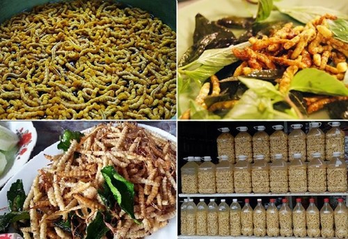 Có lẽ người miền xuôi lên Điện Biên quá ấn tượng với món nhót xanh cuốn bắp cải, rau mùi, chấm với chẳm chéo nơi đây. Cho nên cứ truyền tai nhau rằng lên Điện Biên phải tìm bằng được ăn món “chẳm chéo”. Tuyệt chiêu hút khách của món bắp cải cuốn nhót xanh chính là “chẳm chéo”. Nhót xanh tươi còn non trên cây được ngắt xuống, rửa sạch lớp phấn còn trắng bên ngoài.